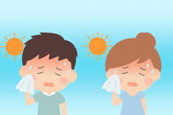 Bí Quyết Bảo Quản Nước Đá Bền Bỉ Thách Thức Cái Nóng